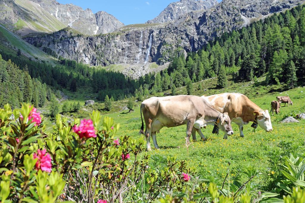 Pension Fuchs Pfunds Εξωτερικό φωτογραφία